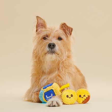 Mazel Toys Hanukkah Plush Multi-Part Dog Toy