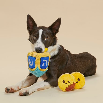 Mazel Toys Hanukkah Plush Multi-Part Dog Toy