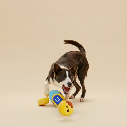 Mazel Toys Hanukkah Plush Multi-Part Dog Toy
