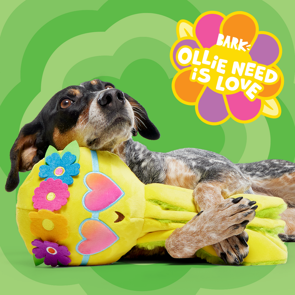 Ollie the Octopus Club, Plush Tug Monthly Dog Toys
