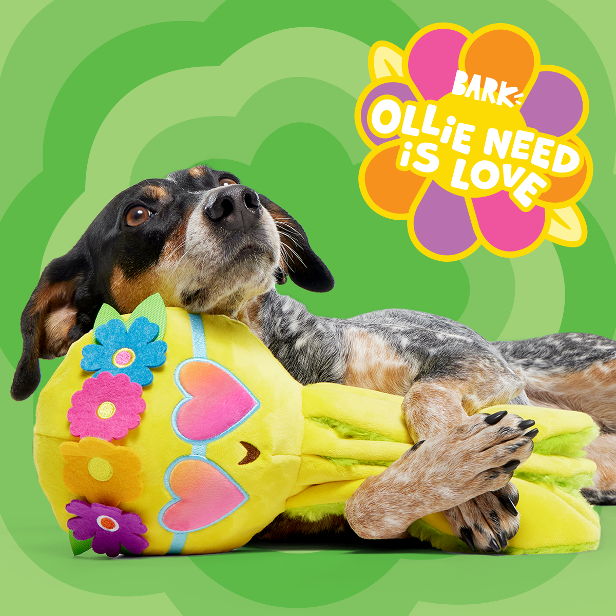 Ollie the Octopus Club, Plush Tug Monthly Dog Toys