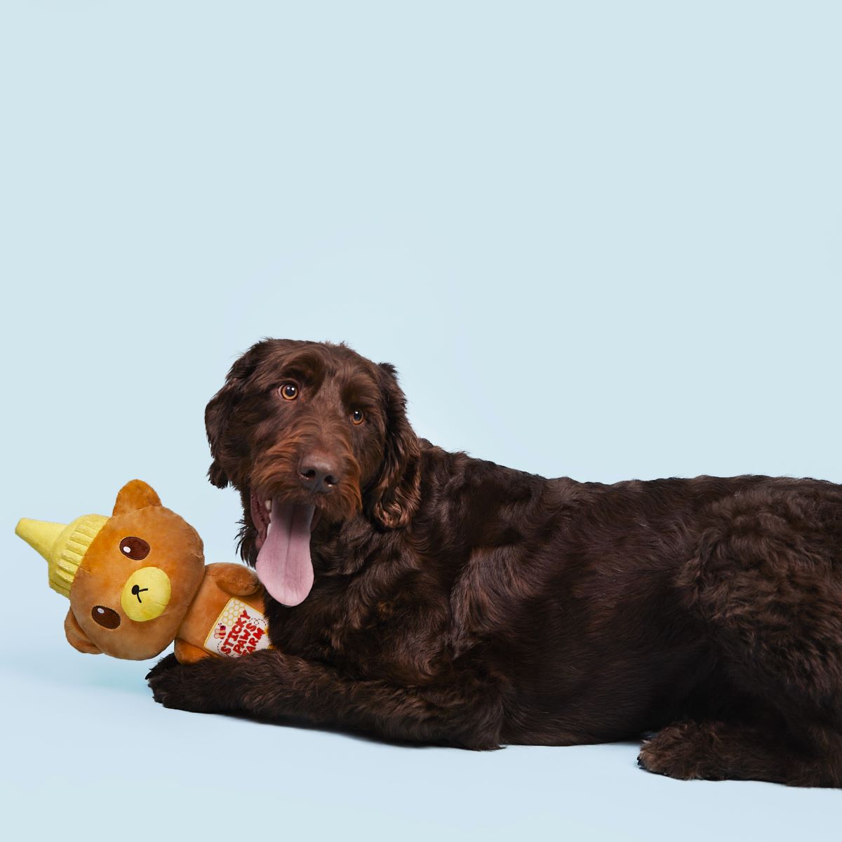 Extra-Large Toy Club, Monthly Plush XL Dog Toys