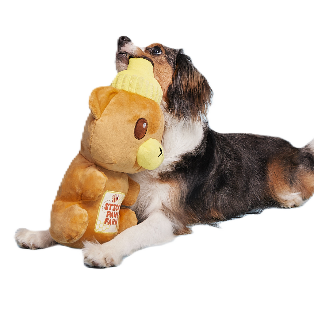 Extra-Large Toy Club, Monthly Plush XL Dog Toys