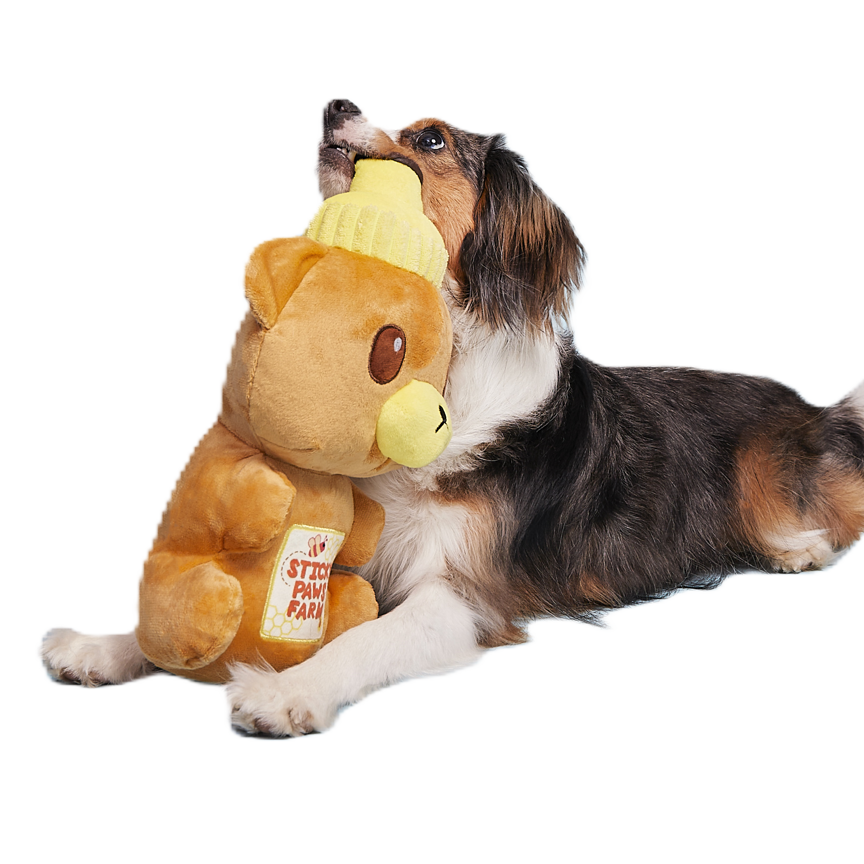 Extra-Large Toy Club, Monthly Plush XL Dog Toys