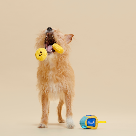 Mazel Toys Hanukkah Plush Multi-Part Dog Toy