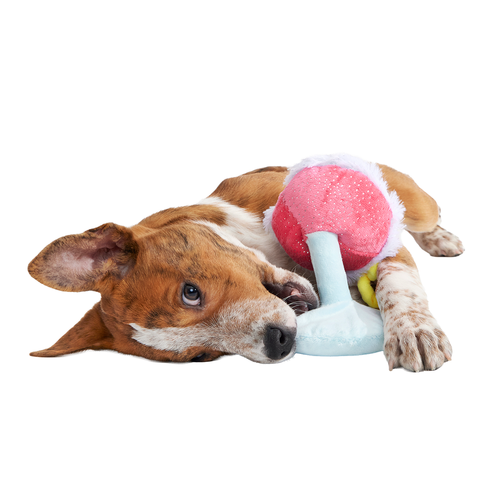 Cocktail Club, Plush Cocktail Monthly Dog Toys