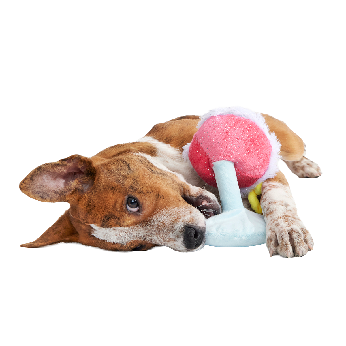 Cocktail Club, Plush Cocktail Monthly Dog Toys