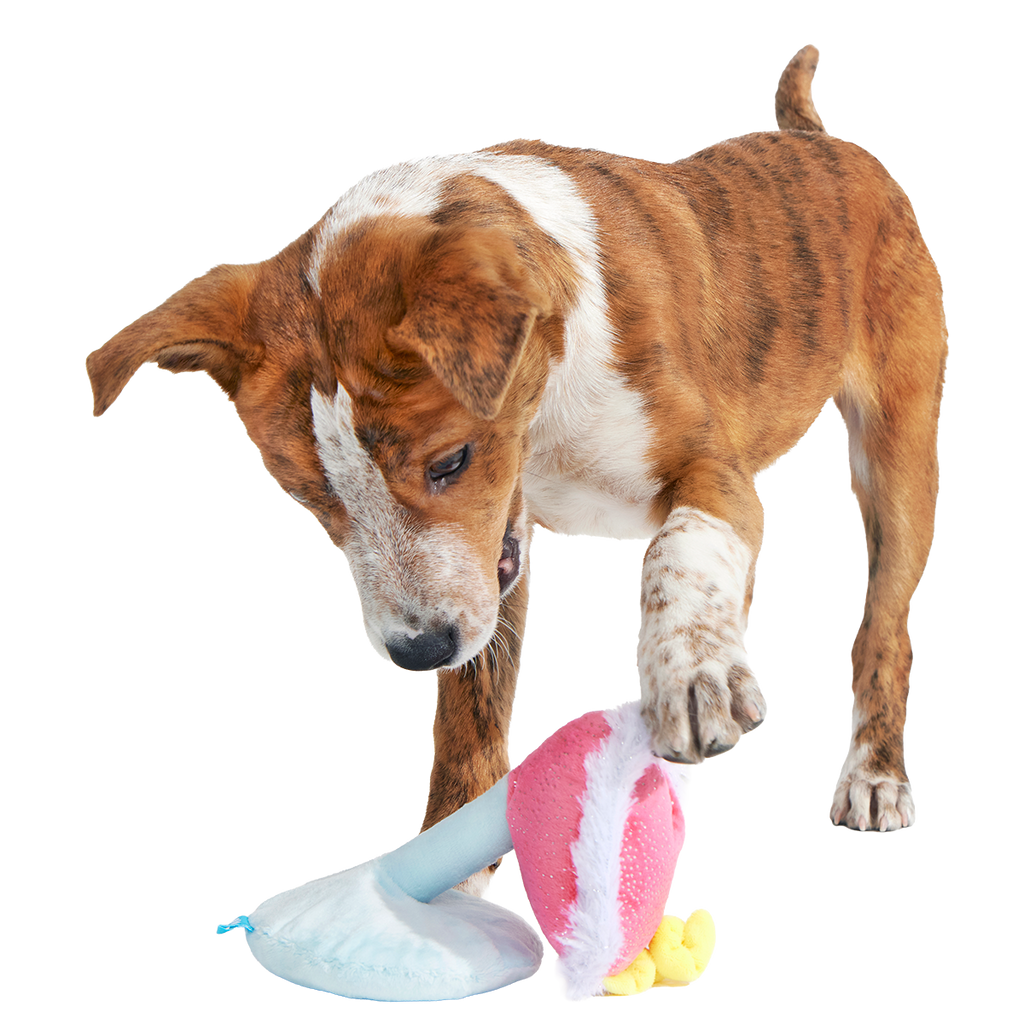 Cocktail Club, Plush Cocktail Monthly Dog Toys