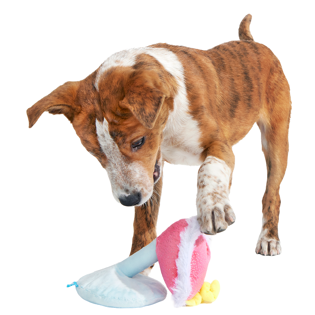 Cocktail Club, Plush Cocktail Monthly Dog Toys