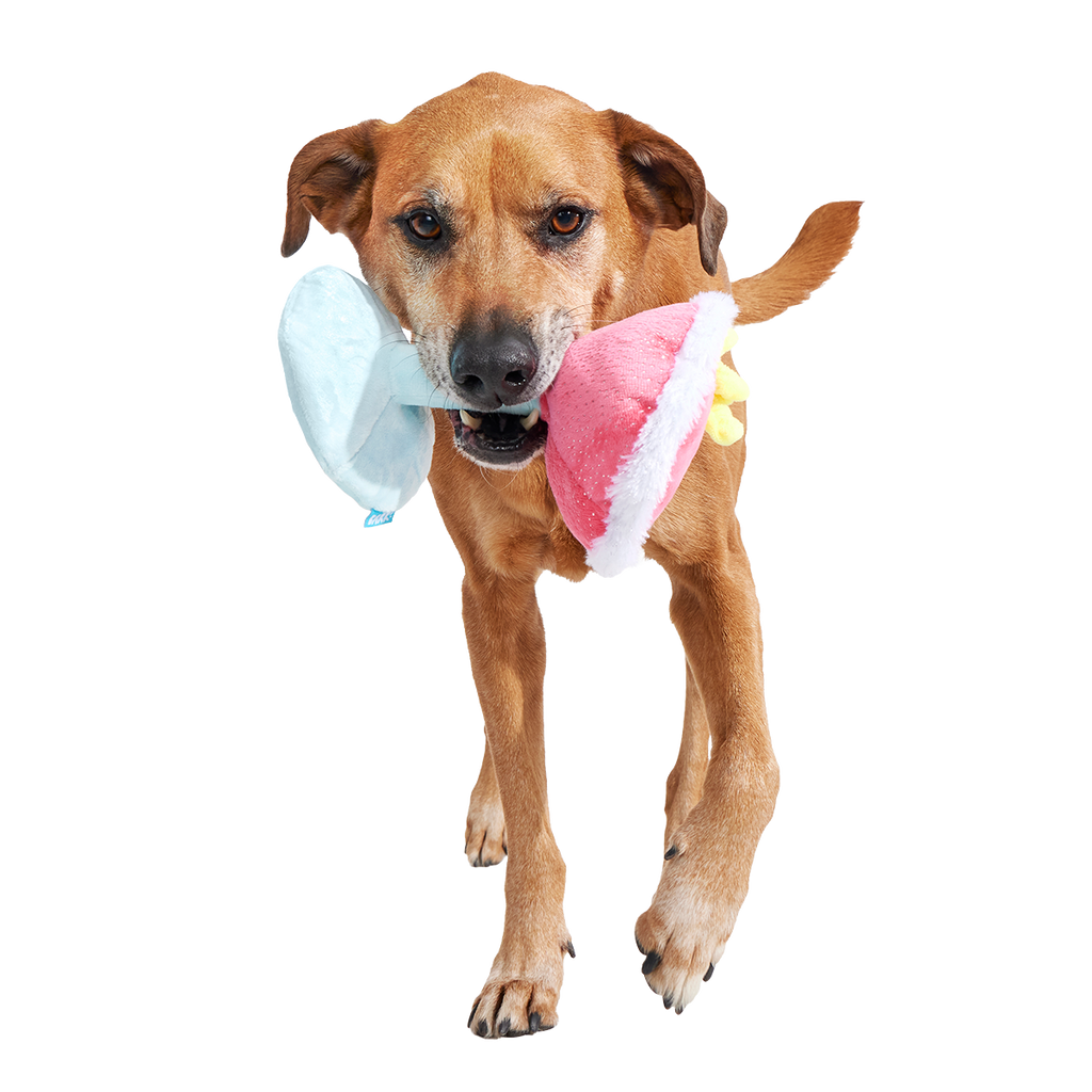 Cocktail Club, Plush Cocktail Monthly Dog Toys