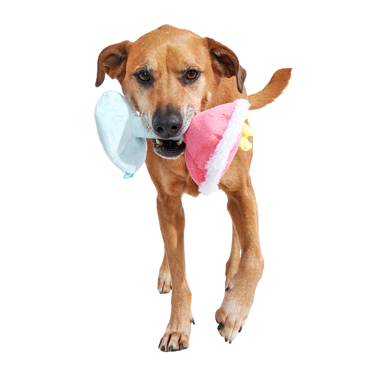 Cocktail Club, Plush Cocktail Monthly Dog Toys