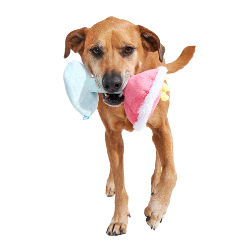 Cocktail Club, Plush Cocktail Monthly Dog Toys